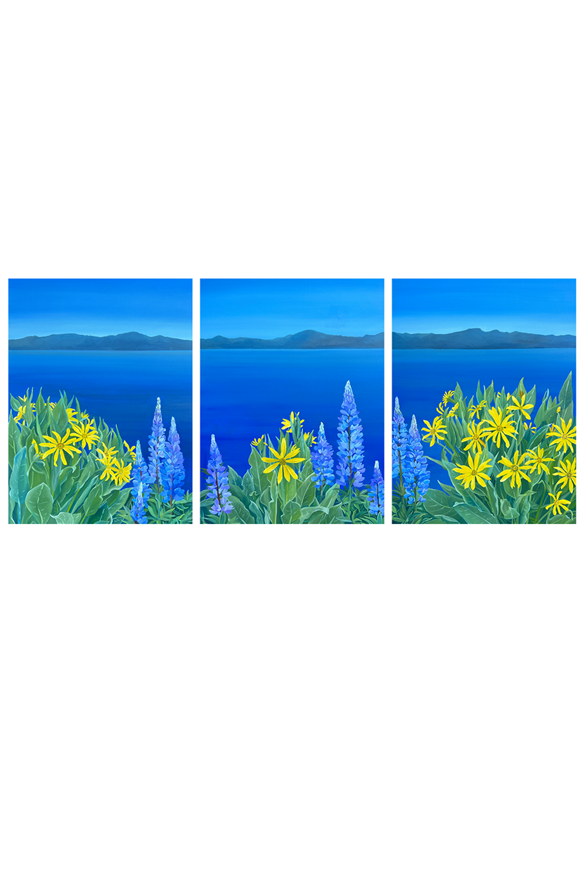 Original Lake Tahoe Wildflower Triptych | Lake Tahoe Northern Nevada Wildflowers