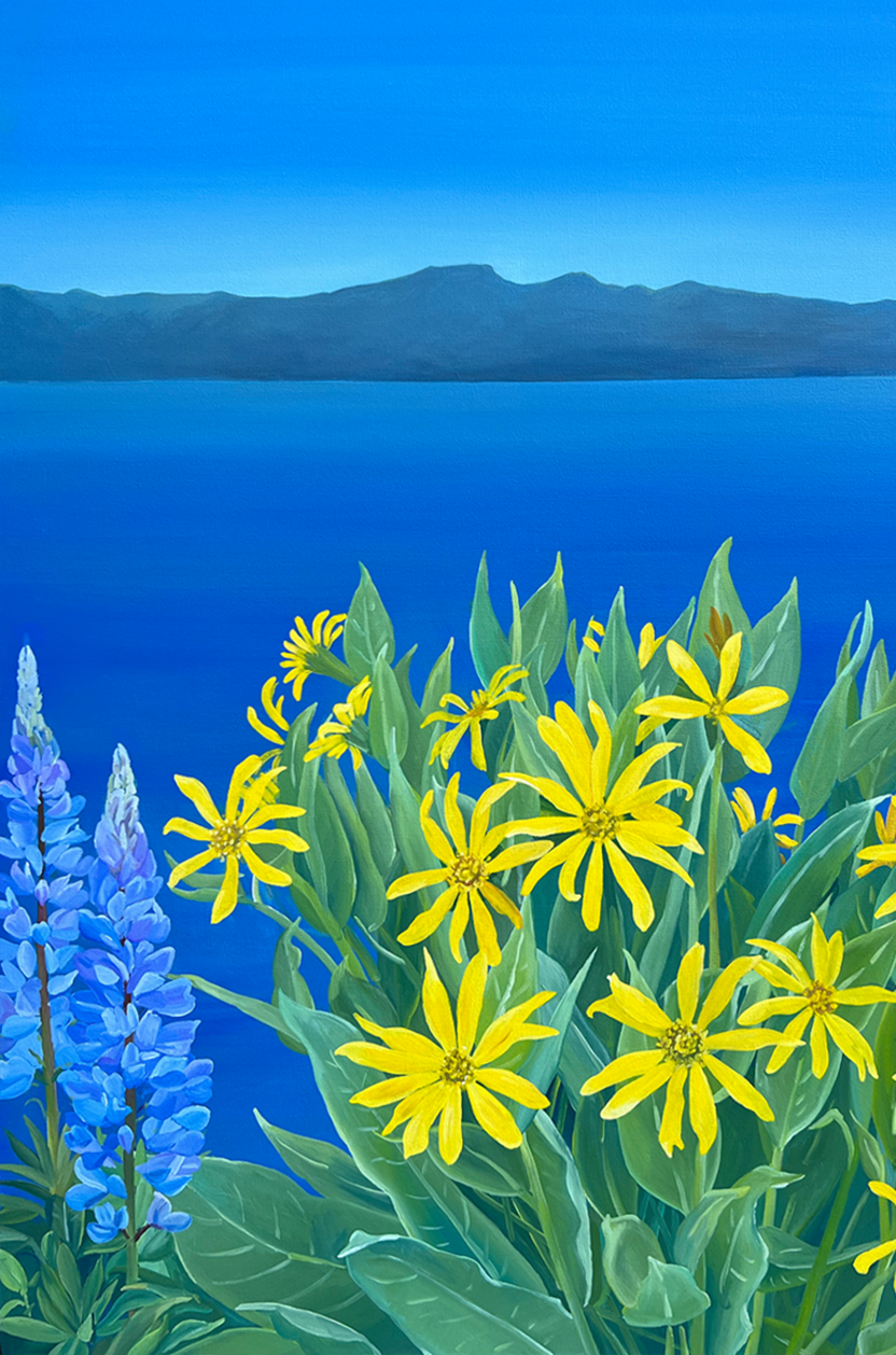 Original Lake Tahoe Wildflower Triptych | Lake Tahoe Northern Nevada Wildflowers