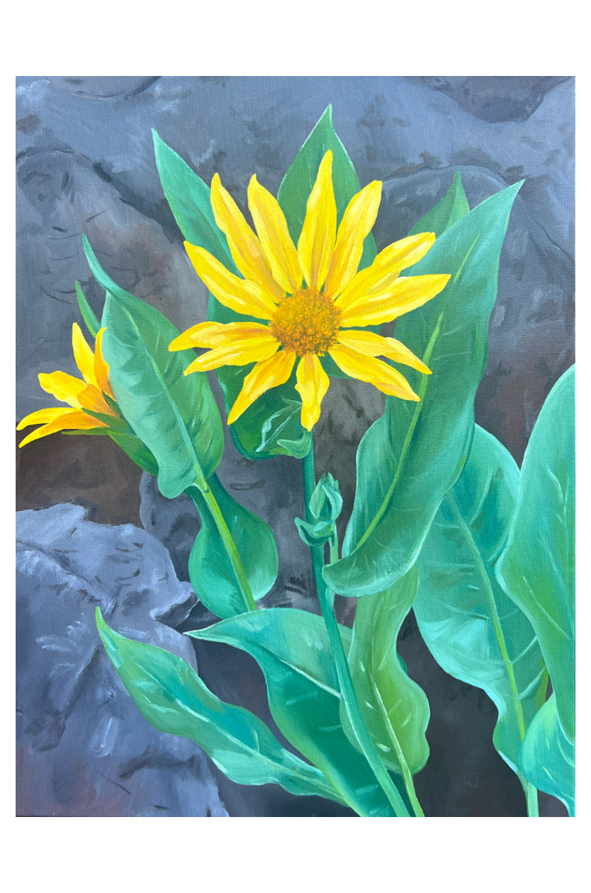 Original Lake Tahoe Wildflower Painting | Mule's Ears