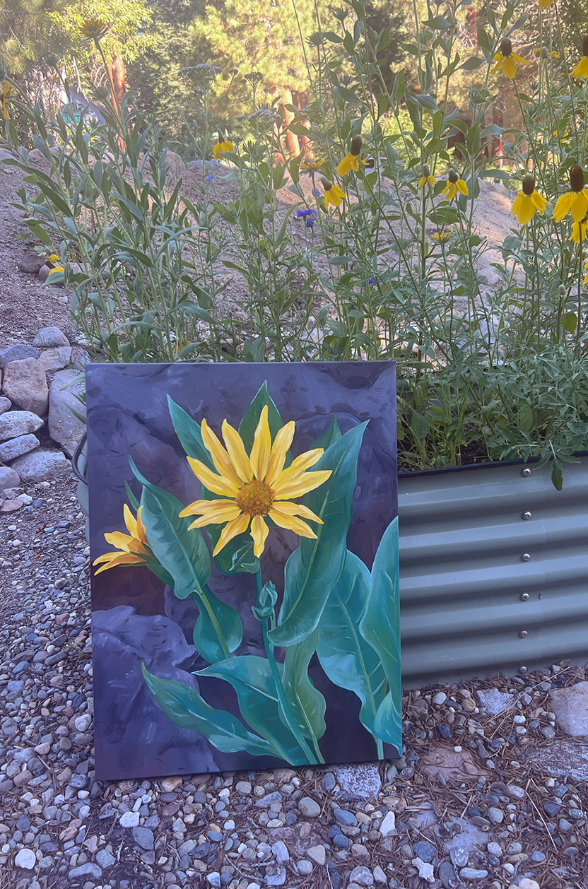 Original Lake Tahoe Wildflower Painting | Mule's Ears