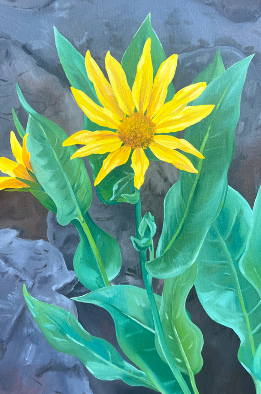 Original Lake Tahoe Wildflower Painting | Mule's Ears