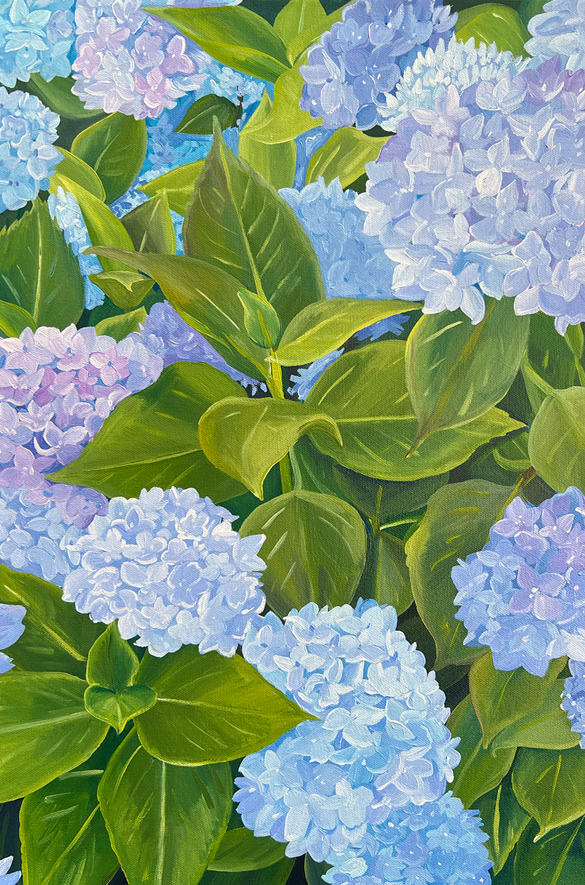 Original San Francisco Hydrangea Painting