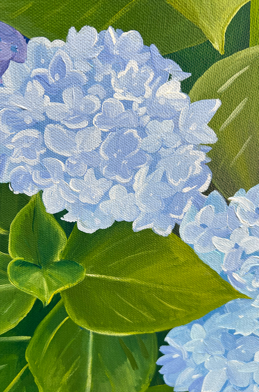 Original San Francisco Hydrangea Painting